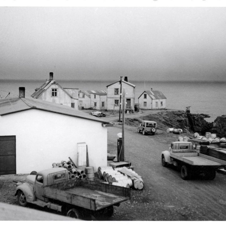 1026266_522572944496547_1794319817_o