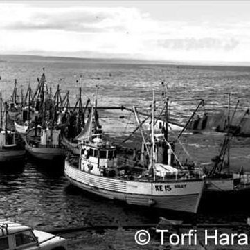 1375073_10201280709834520_1414522589_n