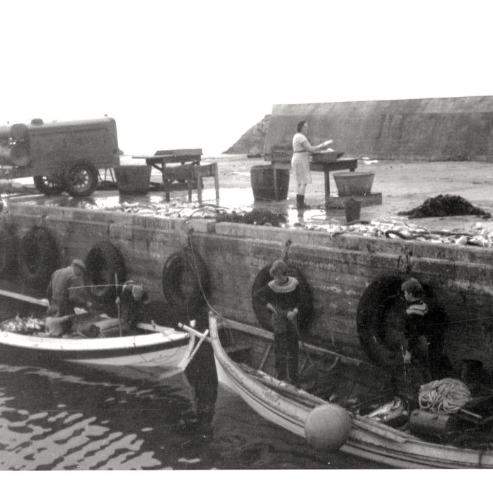 1397012_519689351451573_554293780_o