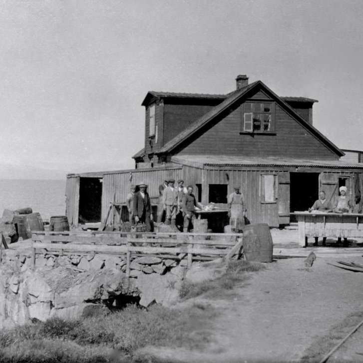 1559538_563415663745608_1862027050_o