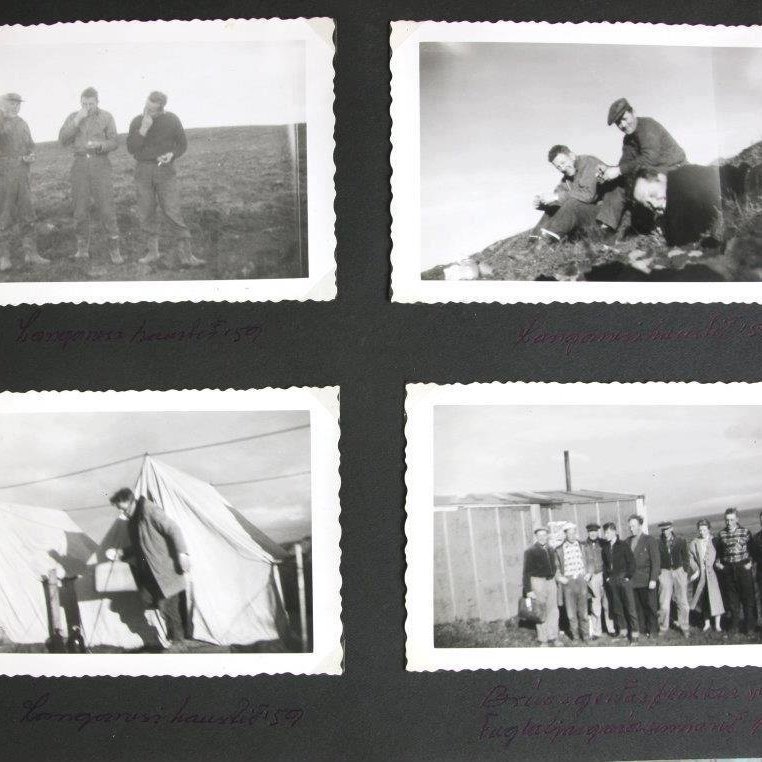 292614_3209481750685_1109791481_n