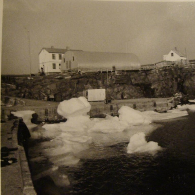 35920_3505028139160_645416178_n