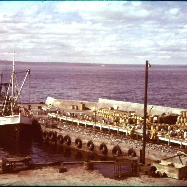 373827_2636729272231_1737731779_n