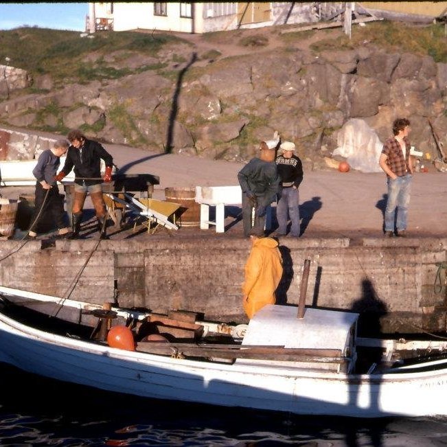 373895_2636706351658_735584219_n