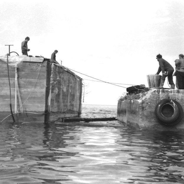 375404_2636713911847_924819629_n