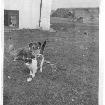 379825_2636719431985_1922117335_n