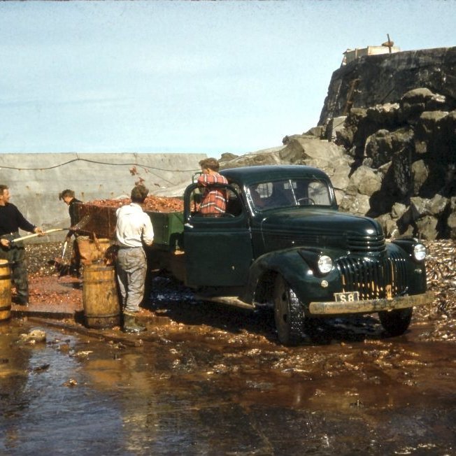 380780_2636729712242_615642205_n