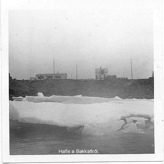 381372_2636718951973_2146868199_n