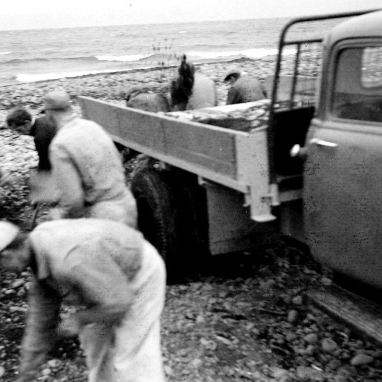 387711_2636725952148_2055405634_n