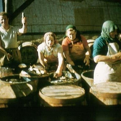 387932_2636729872246_2139632638_n