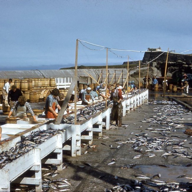 394469_2636728032200_760518881_n-1