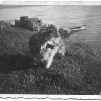 394972_2636719751993_1415972733_n