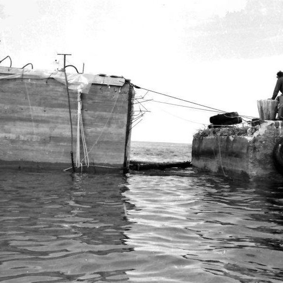 399997_2636713551838_818717285_n