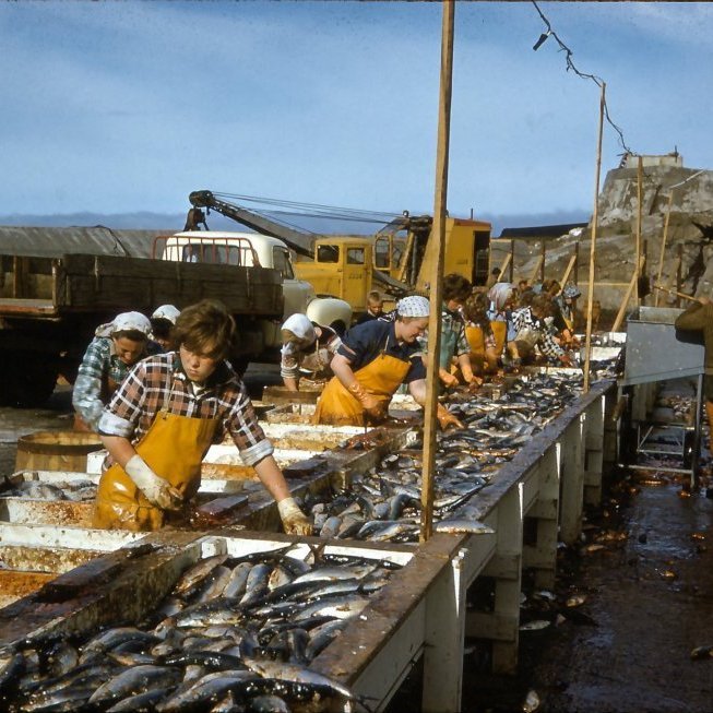 400039_2636722312057_988173196_n