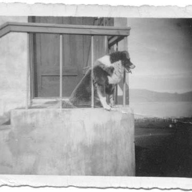 405234_2636710111752_405386805_n