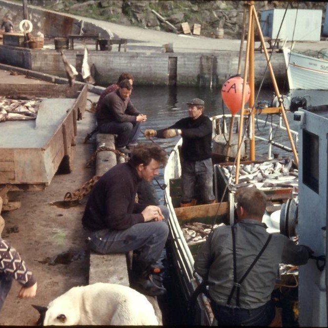 407056_2636710591764_201146886_n