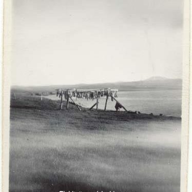 407407_2636706871671_1213228665_n