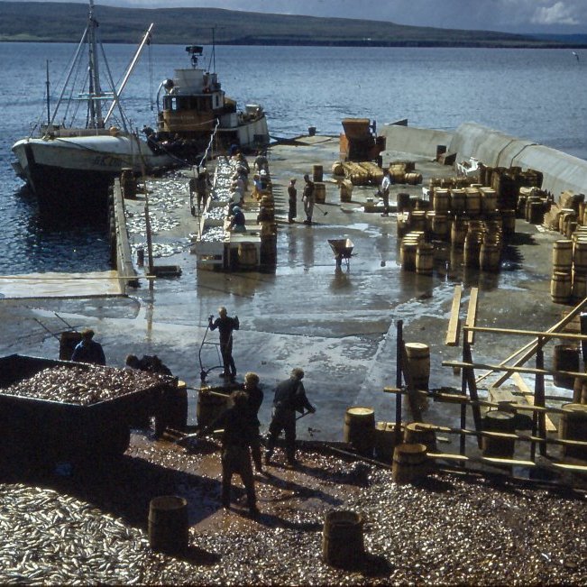 407581_2636728912222_1256235401_n