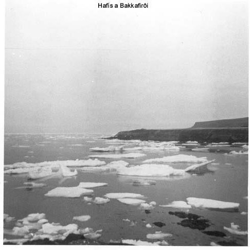 408647_2636719271981_293038884_n