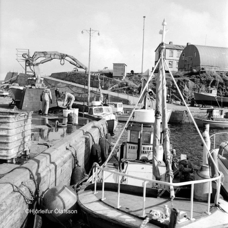 409467_2636701631540_1185305250_n