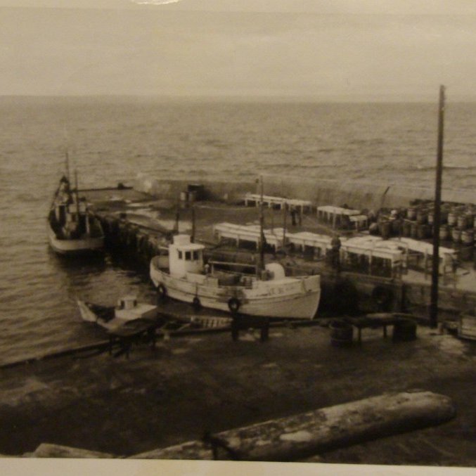 413488_3505025699099_502331529_o