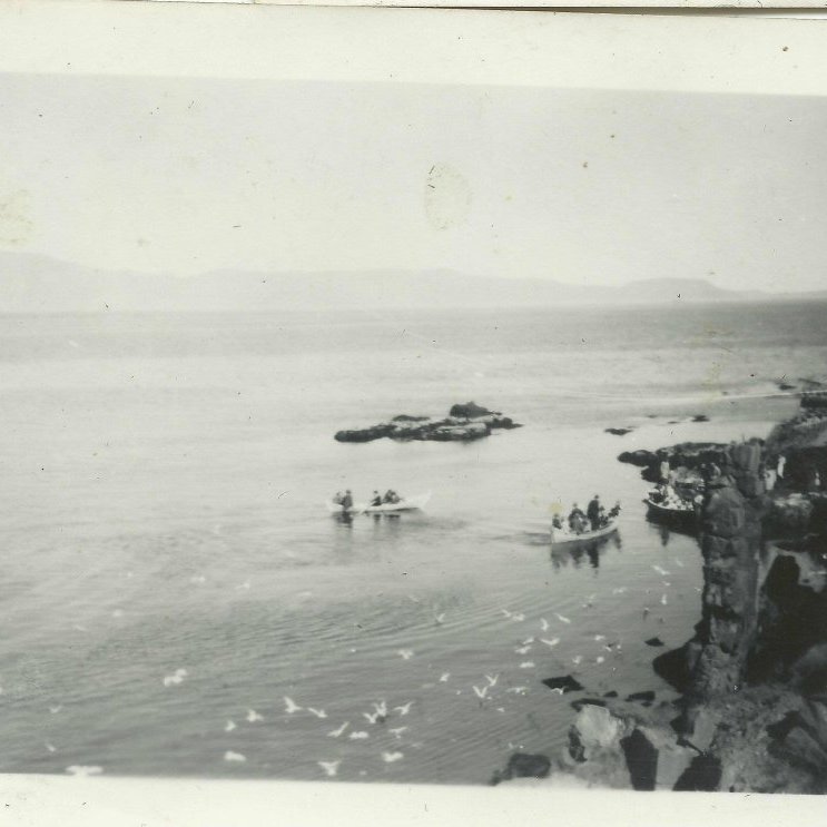 463527_3194008843872_1171276654_o