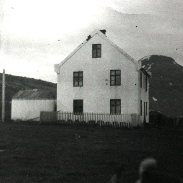 533493_3209479390626_1521120732_n