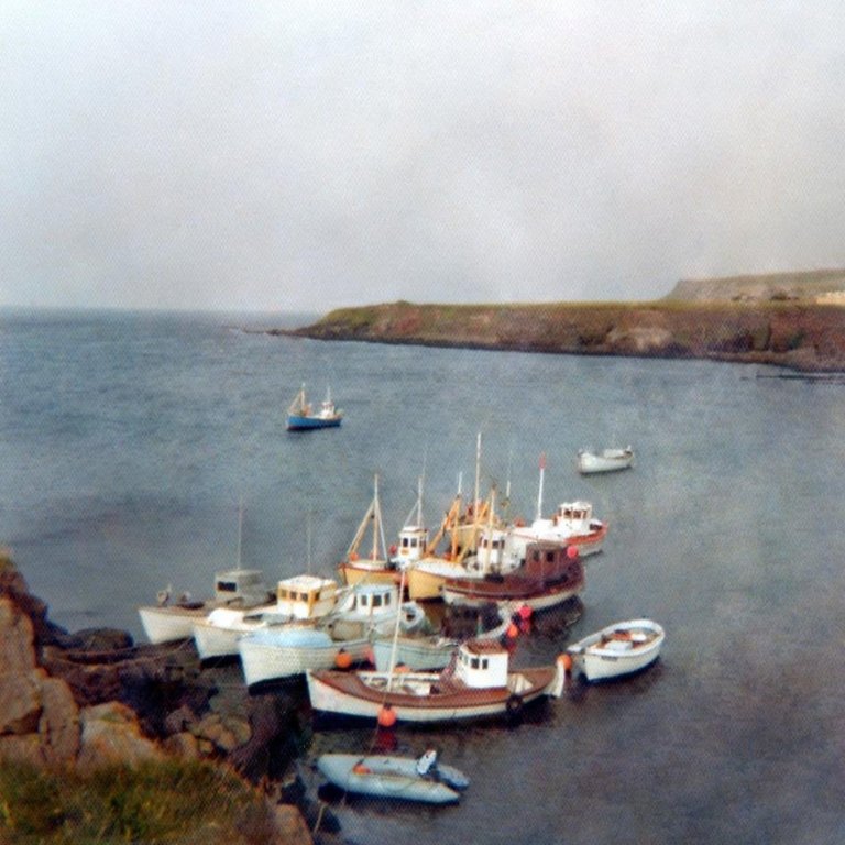 535123_3145184386188_290788230_n