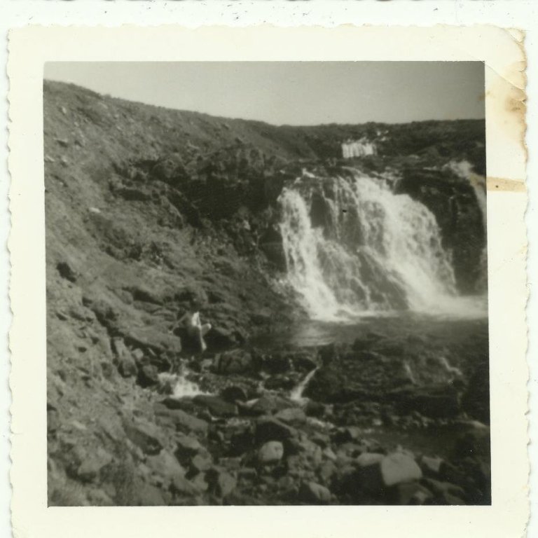 556555_3194031964450_1043305517_n