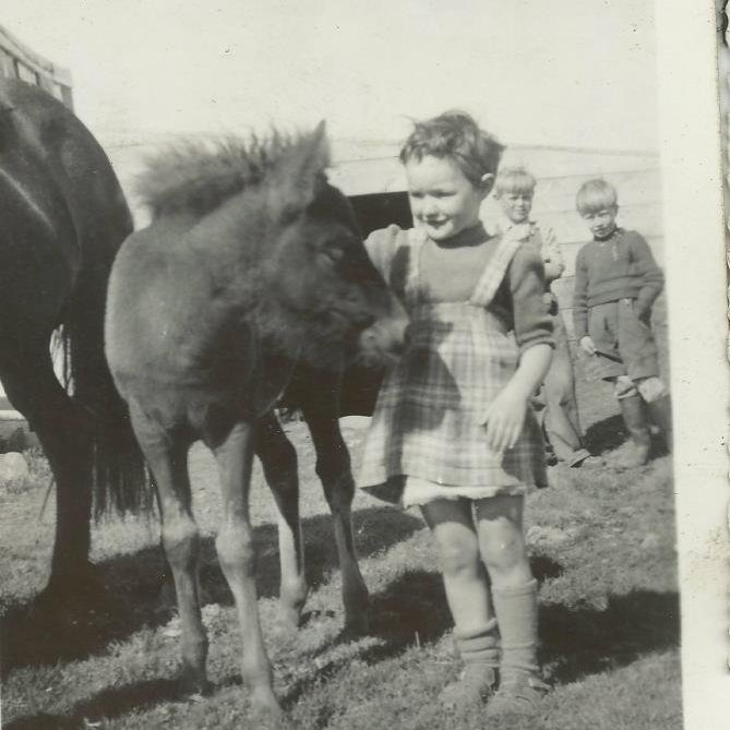 560666_3193976403061_1385548596_n