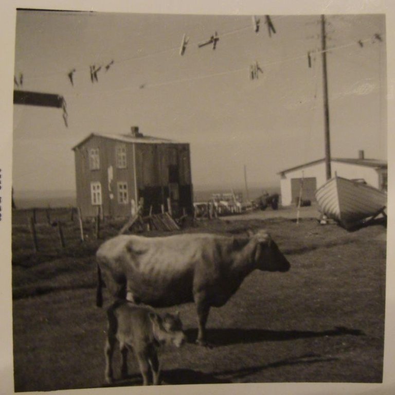 577111_3505013898804_467583193_n