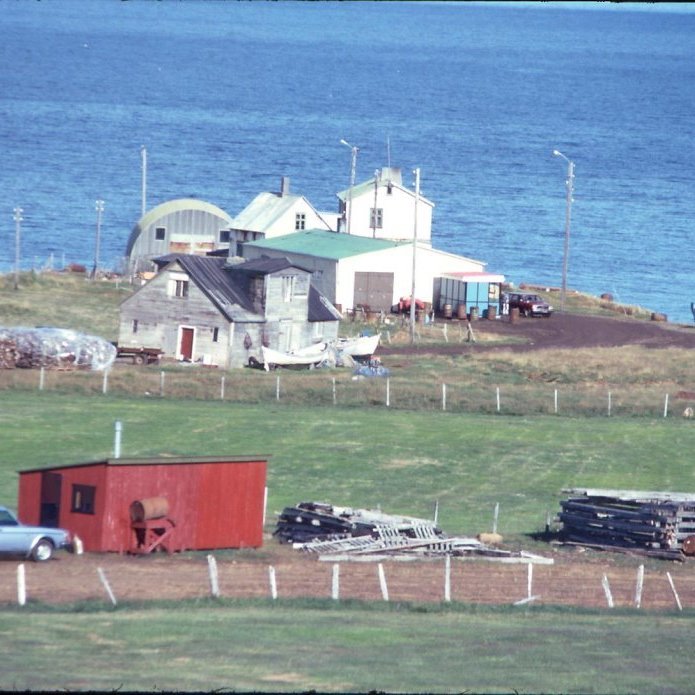 858268_411689772251532_898426198_o