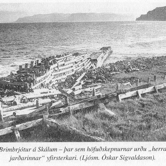 skalar_brymbrjot