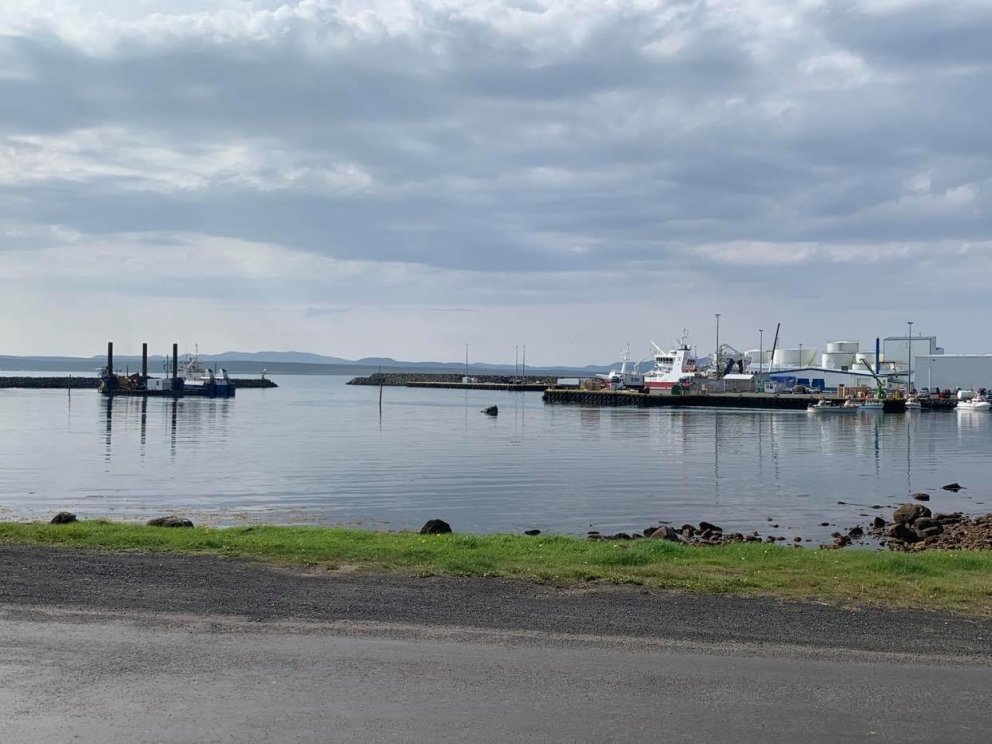 Mikið líf í höfninni á Þórshöfn