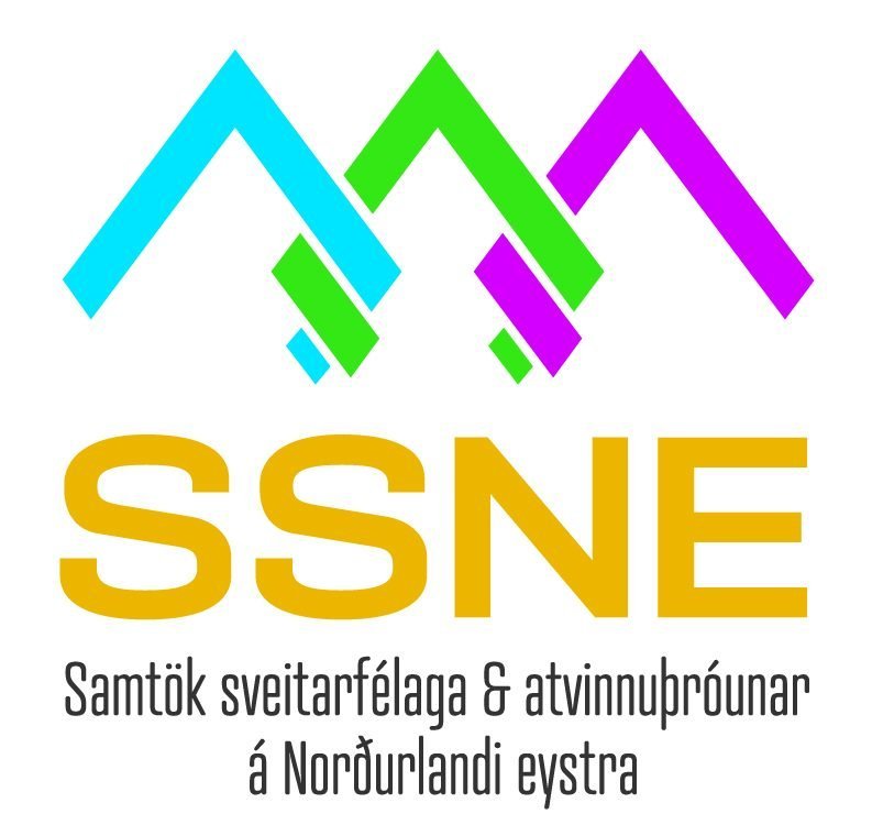 Ert þú með hugmynd að verkefni?