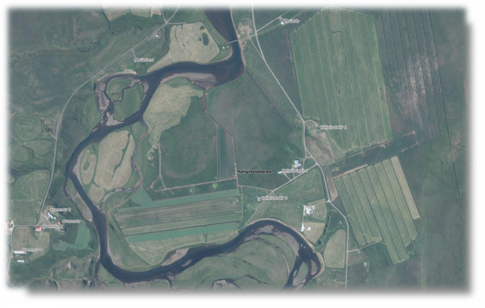 Jörðin Hallgilsstaðir 1 í Langanesbyggð til leigu.