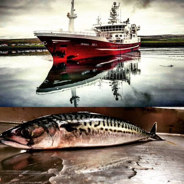 Sjö þúsund tonnum landað í ágúst