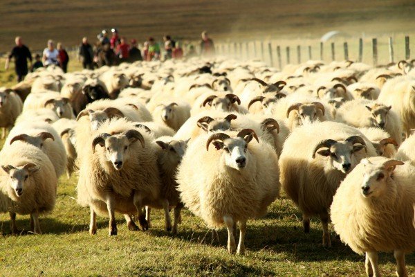 Hvað er svo glatt sem góðra vina fundur