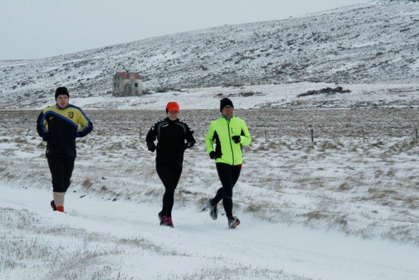 Langaneshlaupið 2013