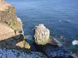 Bjargnytjar 2021 -  Opnun umsókna