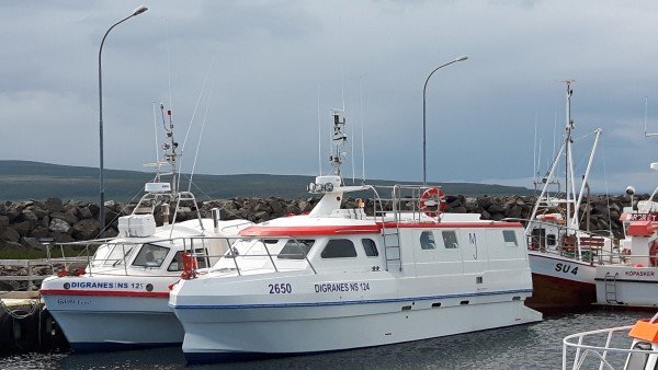 Digranes NS 124 og Digranes 1 NS 125