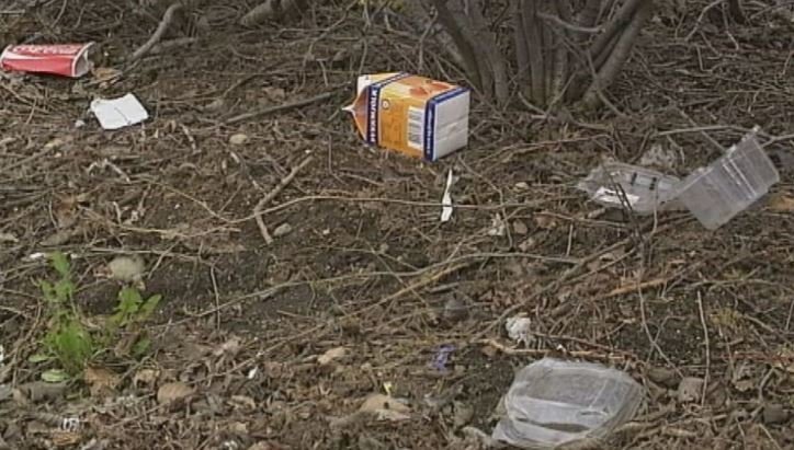 HREINSUNARDAGUR FJÖLSKYLDUNNAR Á MORGUN, LAUGARDAGINN 29. MAÍ