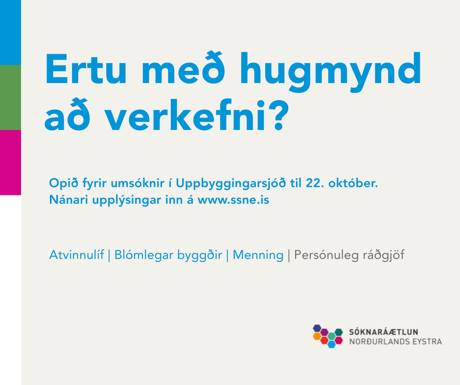 Ertu með hugmynd að verkefni?