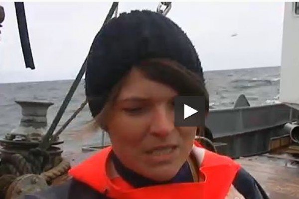 Flugfreyjan á sjónum