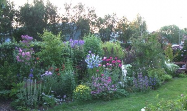 Sumarstörf í Þjónustumiðstöð