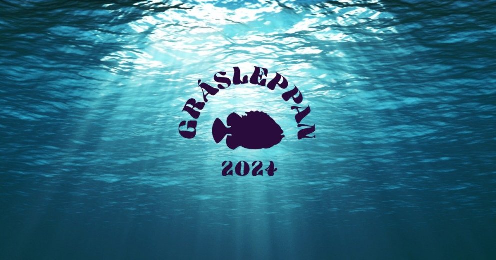 Sjómannadagshátíðin Grásleppan 1. júní 2024 - Dagskrá