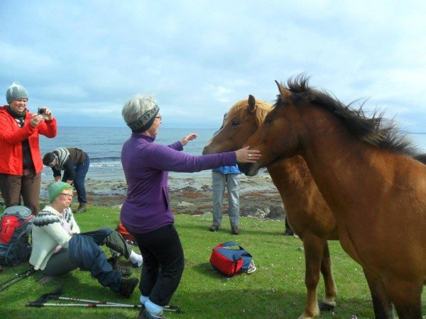 Mynd: María Vilhjálmsdóttir. Sumarleyfisganga