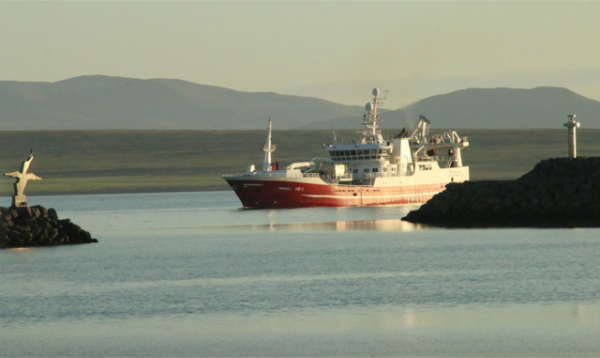 Heimaey VE á leið til hafnar