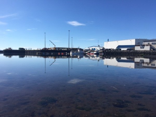 Vorið gerir vart við sig