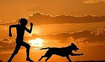 Tilmæli til hundeigenda